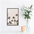 Picture of Palm Goddess _GroupedProduct_Rectangle_Portrait_Photography _GroupedProduct_Rectangle_Portrait_Canvas_Framed_