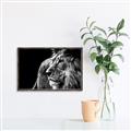 Picture of The Big Cat _GroupedProduct_Rectangle_Landscape_Photography _GroupedProduct_Rectangle_Landscape_Canvas_Framed_