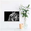Picture of The Big Cat _GroupedProduct_Rectangle_Landscape_Photography _GroupedProduct_Rectangle_Landscape_Canvas_Framed_