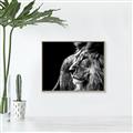 Picture of The Big Cat _GroupedProduct_Rectangle_Landscape_Photography _GroupedProduct_Rectangle_Landscape_Canvas_Framed_