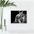 Picture of The Big Cat _GroupedProduct_Rectangle_Landscape_Photography _GroupedProduct_Rectangle_Landscape_Canvas_Framed_