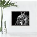 Picture of The Big Cat _GroupedProduct_Rectangle_Landscape_Photography _GroupedProduct_Rectangle_Landscape_Canvas_Framed_