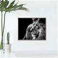 Picture of The Big Cat _GroupedProduct_Rectangle_Landscape_Photography _GroupedProduct_Rectangle_Landscape_Canvas_Framed_
