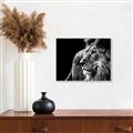 Picture of The Big Cat _GroupedProduct_Rectangle_Landscape_Photography _GroupedProduct_Rectangle_Landscape_Canvas_Framed_