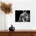 Picture of The Big Cat _GroupedProduct_Rectangle_Landscape_Photography _GroupedProduct_Rectangle_Landscape_Canvas_Framed_