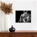 Picture of The Big Cat _GroupedProduct_Rectangle_Landscape_Photography _GroupedProduct_Rectangle_Landscape_Canvas_Framed_