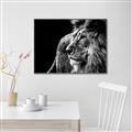 Picture of The Big Cat _GroupedProduct_Rectangle_Landscape_Photography _GroupedProduct_Rectangle_Landscape_Canvas_Framed_