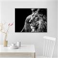 Picture of The Big Cat _GroupedProduct_Rectangle_Landscape_Photography _GroupedProduct_Rectangle_Landscape_Canvas_Framed_