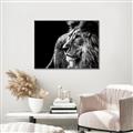 Picture of The Big Cat _GroupedProduct_Rectangle_Landscape_Photography _GroupedProduct_Rectangle_Landscape_Canvas_Framed_
