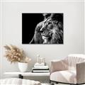 Picture of The Big Cat _GroupedProduct_Rectangle_Landscape_Photography _GroupedProduct_Rectangle_Landscape_Canvas_Framed_