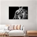 Picture of The Big Cat _GroupedProduct_Rectangle_Landscape_Photography _GroupedProduct_Rectangle_Landscape_Canvas_Framed_