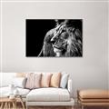 Picture of The Big Cat _GroupedProduct_Rectangle_Landscape_Photography _GroupedProduct_Rectangle_Landscape_Canvas_Framed_