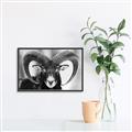 Picture of The Ram _GroupedProduct_Rectangle_Landscape_Photography _GroupedProduct_Rectangle_Landscape_Canvas_Framed_