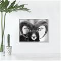 Picture of The Ram _GroupedProduct_Rectangle_Landscape_Photography _GroupedProduct_Rectangle_Landscape_Canvas_Framed_
