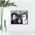 Picture of The Ram _GroupedProduct_Rectangle_Landscape_Photography _GroupedProduct_Rectangle_Landscape_Canvas_Framed_