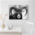 Picture of The Ram _GroupedProduct_Rectangle_Landscape_Photography _GroupedProduct_Rectangle_Landscape_Canvas_Framed_