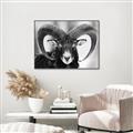 Picture of The Ram _GroupedProduct_Rectangle_Landscape_Photography _GroupedProduct_Rectangle_Landscape_Canvas_Framed_