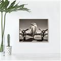 Picture of On the Runway _GroupedProduct_Rectangle_Landscape_Photography _GroupedProduct_Rectangle_Landscape_Canvas_Framed_