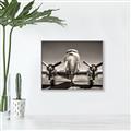 Picture of On the Runway _GroupedProduct_Rectangle_Landscape_Photography _GroupedProduct_Rectangle_Landscape_Canvas_Framed_