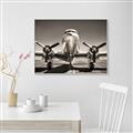 Picture of On the Runway _GroupedProduct_Rectangle_Landscape_Photography _GroupedProduct_Rectangle_Landscape_Canvas_Framed_
