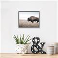 Picture of Bison Field _GroupedProduct_Rectangle_Landscape_Photography _GroupedProduct_Rectangle_Landscape_Canvas_Framed_
