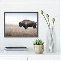 Picture of Bison Field _GroupedProduct_Rectangle_Landscape_Photography _GroupedProduct_Rectangle_Landscape_Canvas_Framed_