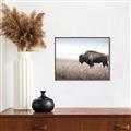 Picture of Bison Field _GroupedProduct_Rectangle_Landscape_Photography _GroupedProduct_Rectangle_Landscape_Canvas_Framed_