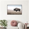 Picture of Bison Field _GroupedProduct_Rectangle_Landscape_Photography _GroupedProduct_Rectangle_Landscape_Canvas_Framed_