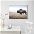 Picture of Bison Field _GroupedProduct_Rectangle_Landscape_Photography _GroupedProduct_Rectangle_Landscape_Canvas_Framed_