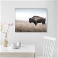 Picture of Bison Field _GroupedProduct_Rectangle_Landscape_Photography _GroupedProduct_Rectangle_Landscape_Canvas_Framed_