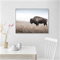 Picture of Bison Field _GroupedProduct_Rectangle_Landscape_Photography _GroupedProduct_Rectangle_Landscape_Canvas_Framed_
