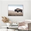 Picture of Bison Field _GroupedProduct_Rectangle_Landscape_Photography _GroupedProduct_Rectangle_Landscape_Canvas_Framed_