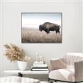 Picture of Bison Field _GroupedProduct_Rectangle_Landscape_Photography _GroupedProduct_Rectangle_Landscape_Canvas_Framed_