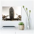 Picture of Plane of Yester Year _GroupedProduct_Rectangle_Landscape_Photography _GroupedProduct_Rectangle_Landscape_Unframed_Print_Only_
