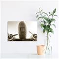 Picture of Plane of Yester Year _GroupedProduct_Rectangle_Landscape_Photography _GroupedProduct_Rectangle_Landscape_Unframed_Print_Only_