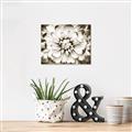 Picture of Black and White Flower _GroupedProduct_Rectangle_Landscape_Photography _GroupedProduct_Rectangle_Landscape_Unframed_Print_Only_