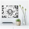 Picture of Black and White Flower _GroupedProduct_Rectangle_Landscape_Photography _GroupedProduct_Rectangle_Landscape_Unframed_Print_Only_