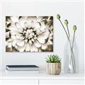 Picture of Black and White Flower _GroupedProduct_Rectangle_Landscape_Photography _GroupedProduct_Rectangle_Landscape_Unframed_Print_Only_