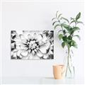 Picture of Black and White Flower _GroupedProduct_Rectangle_Landscape_Photography _GroupedProduct_Rectangle_Landscape_Unframed_Print_Only_