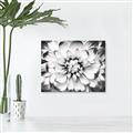 Picture of Black and White Flower _GroupedProduct_Rectangle_Landscape_Photography _GroupedProduct_Rectangle_Landscape_Unframed_Print_Only_