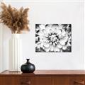 Picture of Black and White Flower _GroupedProduct_Rectangle_Landscape_Photography _GroupedProduct_Rectangle_Landscape_Unframed_Print_Only_