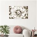 Picture of Black and White Flower _GroupedProduct_Rectangle_Landscape_Photography _GroupedProduct_Rectangle_Landscape_Unframed_Print_Only_