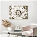 Picture of Black and White Flower _GroupedProduct_Rectangle_Landscape_Photography _GroupedProduct_Rectangle_Landscape_Unframed_Print_Only_