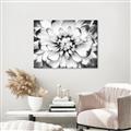 Picture of Black and White Flower _GroupedProduct_Rectangle_Landscape_Photography _GroupedProduct_Rectangle_Landscape_Unframed_Print_Only_