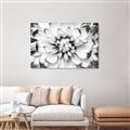 Picture of Black and White Flower _GroupedProduct_Rectangle_Landscape_Photography _GroupedProduct_Rectangle_Landscape_Unframed_Print_Only_