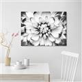 Picture of Black and White Flower _GroupedProduct_Rectangle_Landscape_Photography _GroupedProduct_Rectangle_Landscape_Unframed_Print_Only_