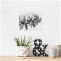 Picture of Flower isolated _GroupedProduct_Rectangle_Landscape_Photography _GroupedProduct_Rectangle_Landscape_Unframed_Print_Only_