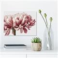 Picture of Flower isolated _GroupedProduct_Rectangle_Landscape_Photography _GroupedProduct_Rectangle_Landscape_Unframed_Print_Only_