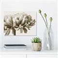 Picture of Flower isolated _GroupedProduct_Rectangle_Landscape_Photography _GroupedProduct_Rectangle_Landscape_Unframed_Print_Only_