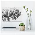 Picture of Flower isolated _GroupedProduct_Rectangle_Landscape_Photography _GroupedProduct_Rectangle_Landscape_Unframed_Print_Only_